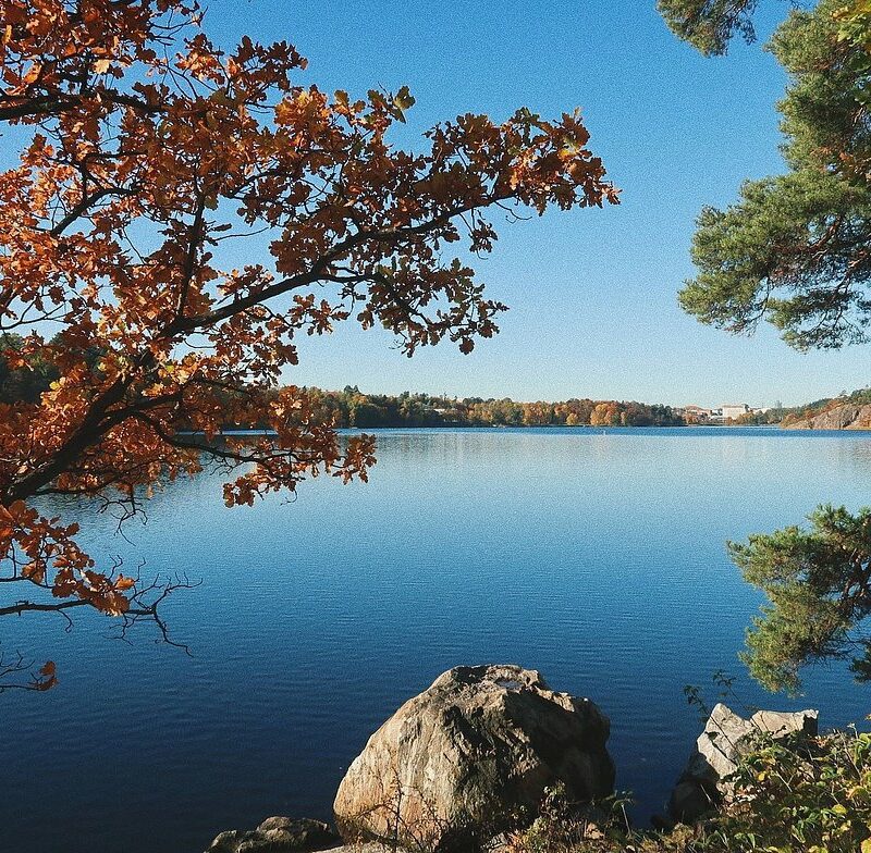 Photograph of lake at Västra skogen